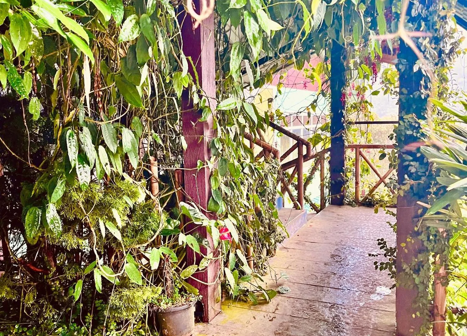 The Raarees Mist Resort, Munnar - Nested In Nature'S Lap Hotel