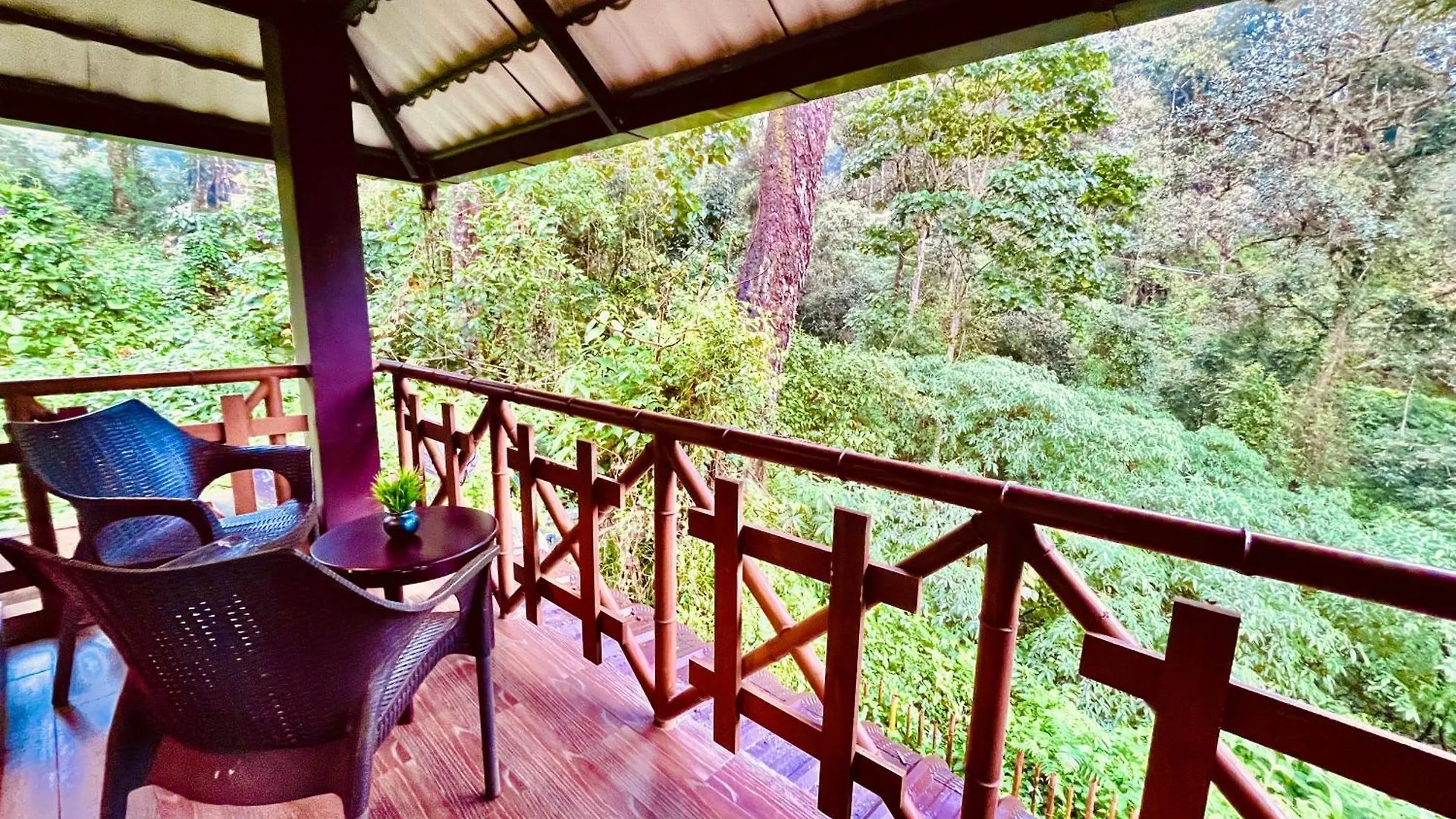 The Raarees Mist Resort, Munnar - Nested In Nature'S Lap Hotel