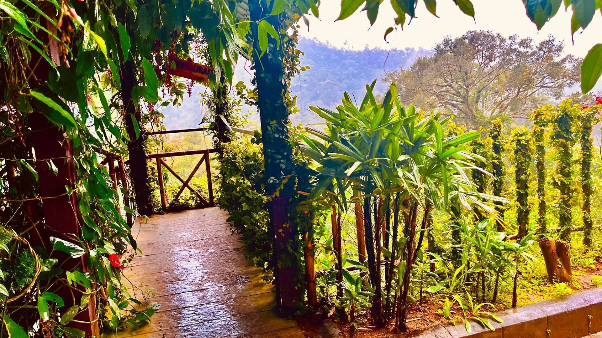 The Raarees Mist Resort, Munnar - Nested In Nature'S Lap