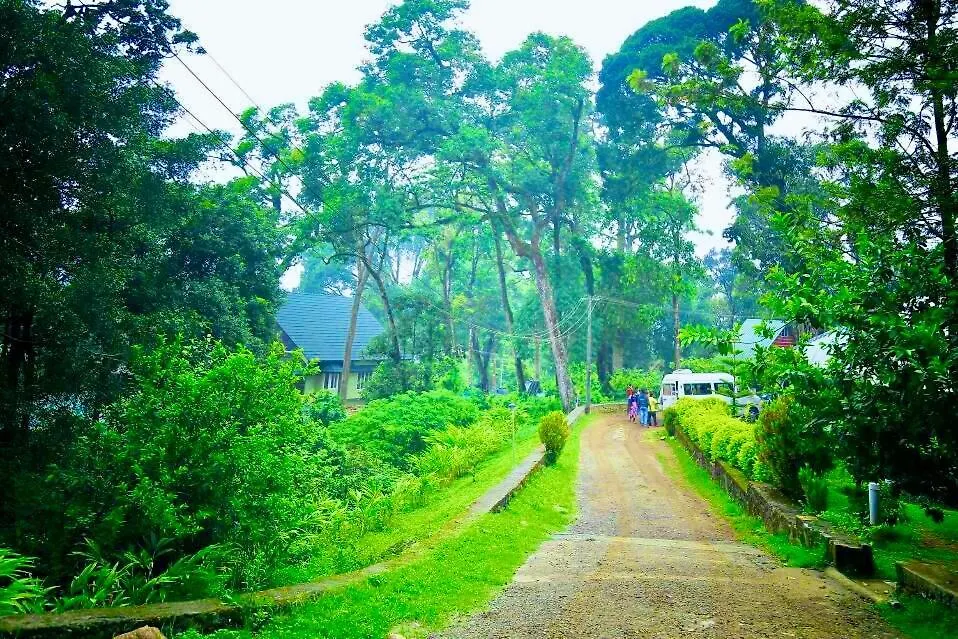 **** Hotel The Raarees Mist Resort, Munnar - Nested In Nature'S Lap India